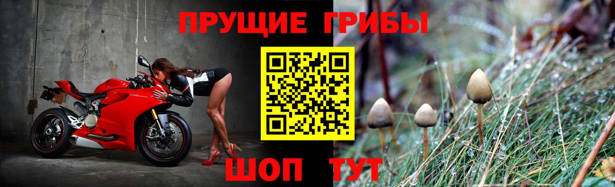 Волгоград  Псилоцибиновые грибы Magic Shrooms  дарнет шоп  Вход с VPN  Псилоцибиновые грибы мицелий 